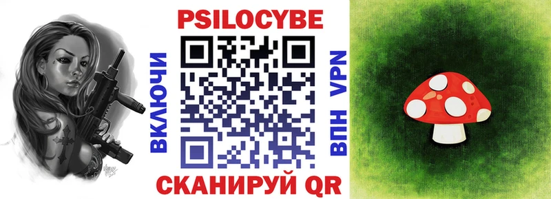 цены   Карталы  Псилоцибиновые грибы GOLDEN TEACHER 