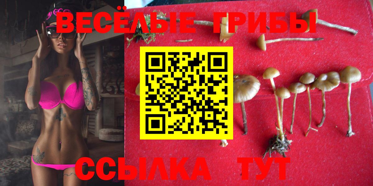 Псилоцибиновые грибы Cubensis  Вход с VPN  Карталы 